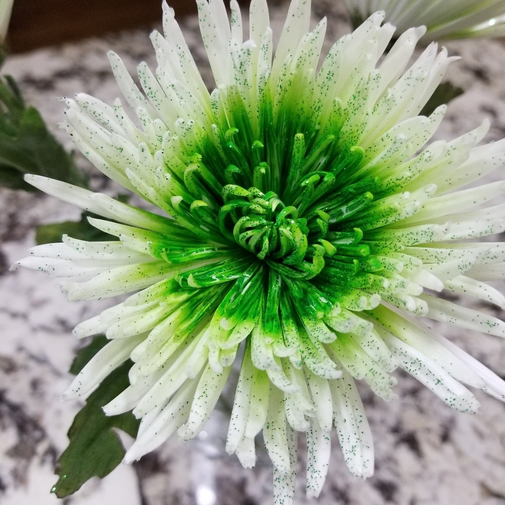 Meet your Posher, Stacie